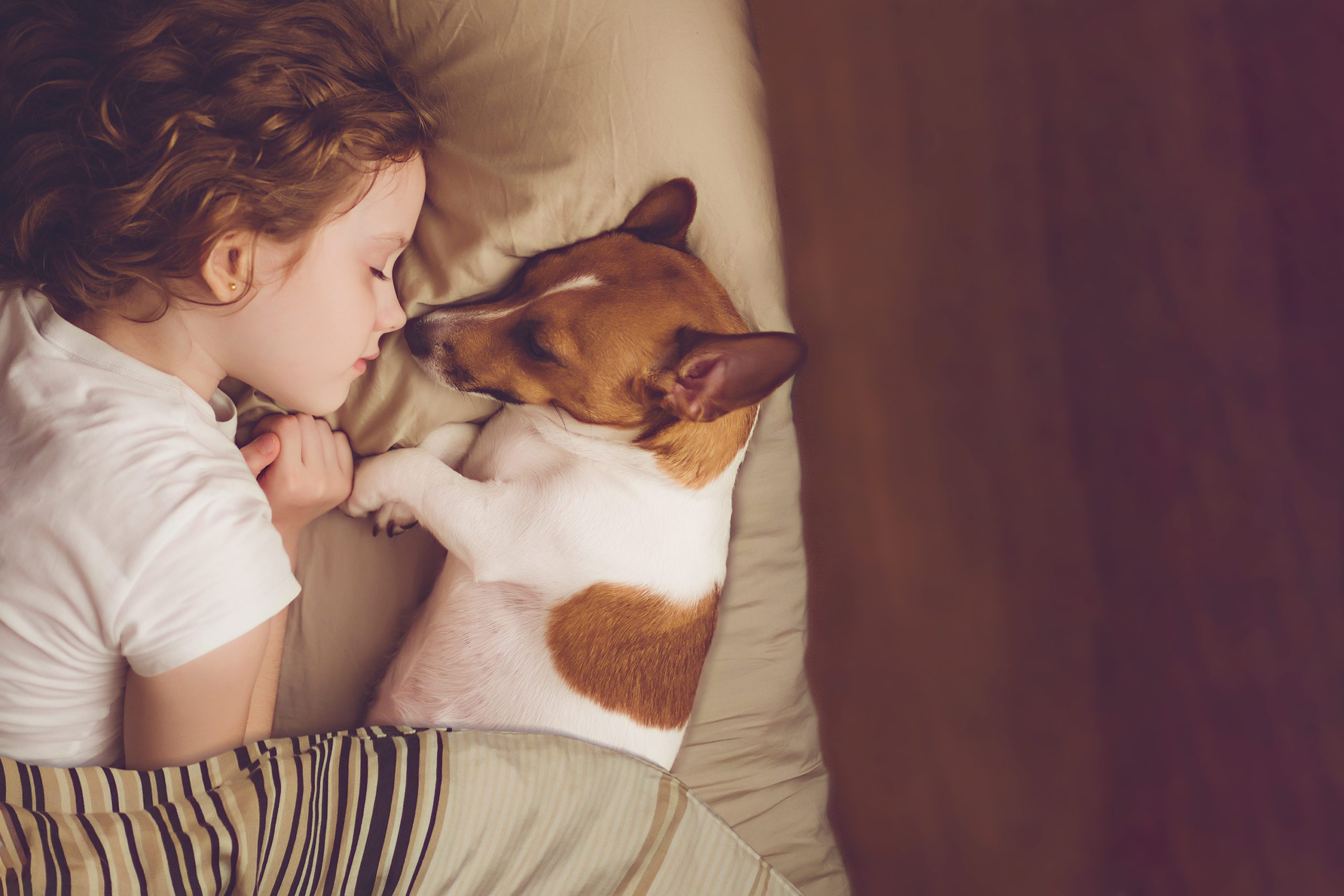 A child and dog resting together at home